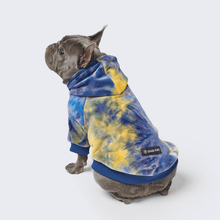 Load image into Gallery viewer, premium dog apparel sweater hoodies for winter, suitable for pit bulls, french bulldogs, big dogs, pugs, staffies and more