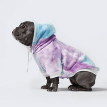 Load image into Gallery viewer, premium dog apparel sweater hoodies for winter, suitable for pit bulls, french bulldogs, big dogs, pugs, staffies and more