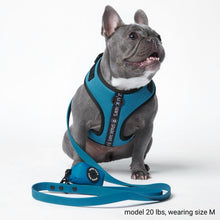 Load image into Gallery viewer, Waterproof PVC Dog Leash - Blue