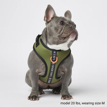Load image into Gallery viewer, Yogawear Dog Harness (Multi-Colour)