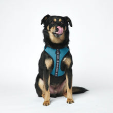 Load image into Gallery viewer, Yogawear Dog Harness - Blue