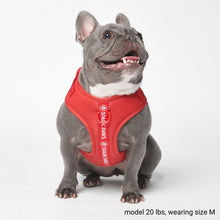 Load image into Gallery viewer, Yogawear Dog Harness - Red