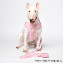 Load image into Gallery viewer, Yogawear Harness Set - Pink