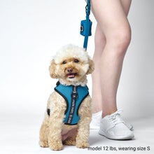 Load image into Gallery viewer, Yogawear Harness Set - Blue