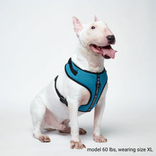 Load image into Gallery viewer, Yogawear Dog Harness - Blue