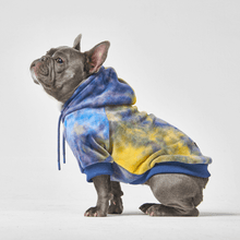 Load image into Gallery viewer, matching human and dog hoodie apparel clothes for pet and their owners
