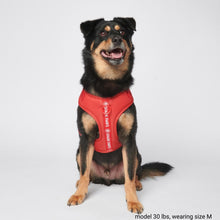 Load image into Gallery viewer, Yogawear Dog Harness - Red