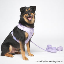 Load image into Gallery viewer, Yogwear Harness Set - Lilac
