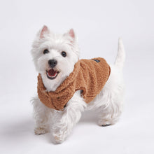 Load image into Gallery viewer, Teddy Sherpa Jacket - Brown