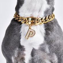 Load image into Gallery viewer, Gold initial letter pendant jewelry tag for dogs, pet ID tag for small and big dogs, bling for dogs, charms for dogs