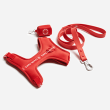 Load image into Gallery viewer, Yogawear Harness Set - Red