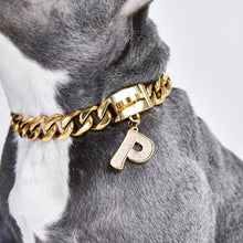 Load image into Gallery viewer, Gold initial letter pendant jewelry tag for dogs, pet ID tag for small and big dogs, bling for dogs, charms for dogs