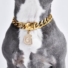 Load image into Gallery viewer, Gold initial letter pendant jewelry tag for dogs, pet ID tag for small and big dogs, bling for dogs, charms for dogs