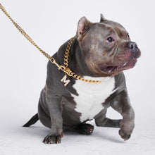 Load image into Gallery viewer, Gold initial letter pendant jewelry tag for dogs, pet ID tag for small and big dogs, bling for dogs, charms for dogs