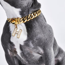 Load image into Gallery viewer, Gold initial letter pendant jewelry tag for dogs, pet ID tag for small and big dogs, bling for dogs, charms for dogs