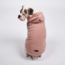 Load image into Gallery viewer, Teddy Sherpa Jacket - Pink