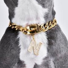 Load image into Gallery viewer, Gold initial letter pendant jewelry tag for dogs, pet ID tag for small and big dogs, bling for dogs, charms for dogs