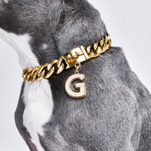 Load image into Gallery viewer, Gold initial letter pendant jewelry tag for dogs, pet ID tag for small and big dogs, bling for dogs, charms for dogs