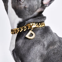 Load image into Gallery viewer, Gold initial letter pendant jewelry tag for dogs, pet ID tag for small and big dogs, bling for dogs, charms for dogs