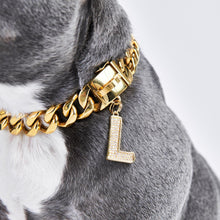 Load image into Gallery viewer, Gold initial letter pendant jewelry tag for dogs, pet ID tag for small and big dogs, bling for dogs, charms for dogs