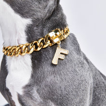 Load image into Gallery viewer, Gold initial letter pendant jewelry tag for dogs, pet ID tag for small and big dogs, bling for dogs, charms for dogs