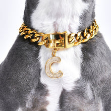 Load image into Gallery viewer, Gold initial letter pendant jewelry tag for dogs, pet ID tag for small and big dogs, bling for dogs, charms for dogs
