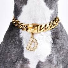 Load image into Gallery viewer, Gold initial letter pendant jewelry tag for dogs, pet ID tag for small and big dogs, bling for dogs, charms for dogs