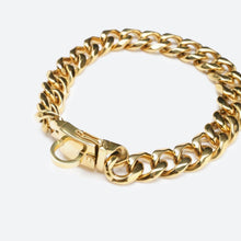 Load image into Gallery viewer, Cuban Link 20mm Gold Chain Collar