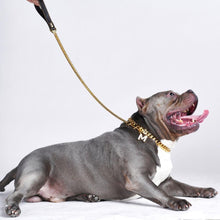 Load image into Gallery viewer, Cuban Link Gold Dog Leash