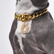 Load image into Gallery viewer, Initial Letter Jewelry Tag - U