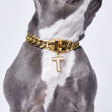 Load image into Gallery viewer, Initial Letter Jewelry Tag - T