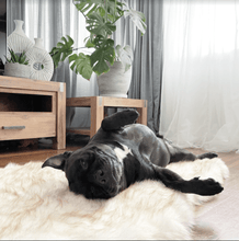 Load image into Gallery viewer, Memory Foam Faux Fur Rug Dog Bed