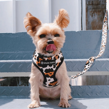 Load image into Gallery viewer, Leopard Leash