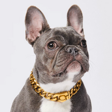 Load image into Gallery viewer, Cuban Link 20mm Gold Chain Collar