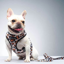 Load image into Gallery viewer, Wild Leopard Frenchie Dog Leash and Harness