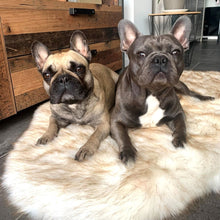 Load image into Gallery viewer, Memory Foam Faux Fur Rug Dog Bed