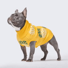 Load image into Gallery viewer, premium dog apparel sweater hoodies for winter, suitable for pit bulls, french bulldogs, big dogs, pugs, staffies and more
