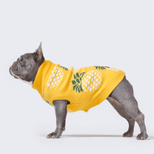 Load image into Gallery viewer, premium dog apparel sweater hoodies for winter, suitable for pit bulls, french bulldogs, big dogs, pugs, staffies and more
