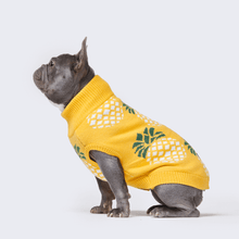 Load image into Gallery viewer, premium dog apparel sweater hoodies for winter, suitable for pit bulls, french bulldogs, big dogs, pugs, staffies and more
