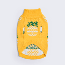 Load image into Gallery viewer, premium dog apparel sweater hoodies for winter, suitable for pit bulls, french bulldogs, big dogs, pugs, staffies and more
