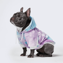 Load image into Gallery viewer, premium dog apparel sweater hoodies for winter, suitable for pit bulls, french bulldogs, big dogs, pugs, staffies and more
