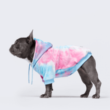 Load image into Gallery viewer, premium dog apparel sweater hoodies for winter, suitable for pit bulls, french bulldogs, big dogs, pugs, staffies and more
