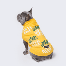 Load image into Gallery viewer, premium dog apparel sweater hoodies for winter, suitable for pit bulls, french bulldogs, big dogs, pugs, staffies and more
