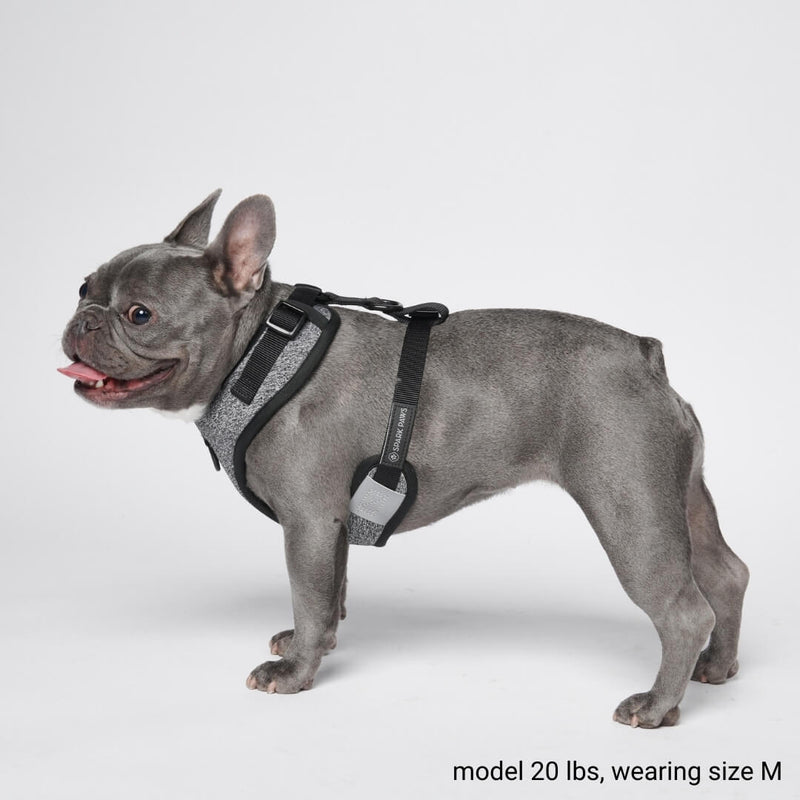 Yogawear Dog Harness - Grey