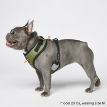 Load image into Gallery viewer, Yogawear Harness Set - Green
