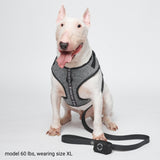 Yogawear Harness Set - Grey