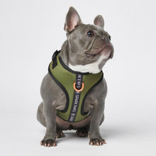 Load image into Gallery viewer, Yogawear Dog Harness - Green
