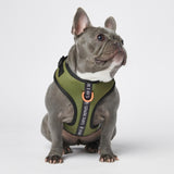 Yogawear Dog Harness - Green