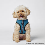 Yogawear Dog Harness - Blue