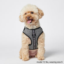 Load image into Gallery viewer, Yogawear Dog Harness - Grey
